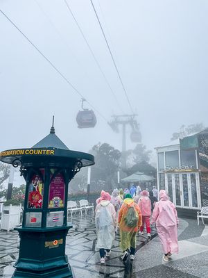 g13/59/1059159/3/175124352.68d9a605.JPEG