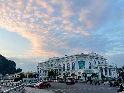 IMG_7250.jpg