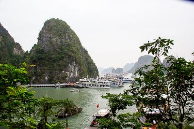 _MG_2713.jpg