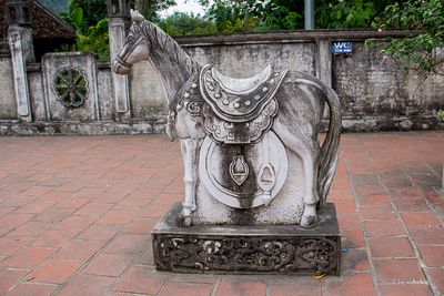 _MG_2842.jpg
