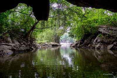 _MG_3007.jpg
