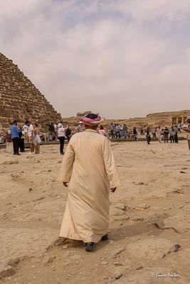 _MG_3530.jpg