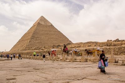 _MG_3551.jpg