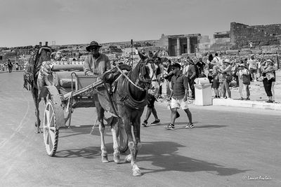 _MG_3556.jpg