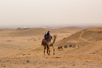 _MG_3560.jpg