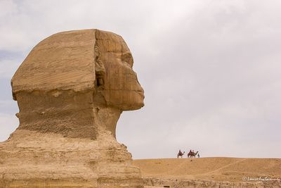 _MG_3599.jpg