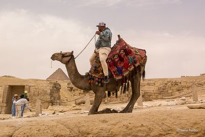 _MG_3602.jpg
