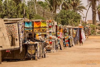 Chaque muse a ses kiosques de souvenirs