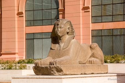 _MG_3710.jpg