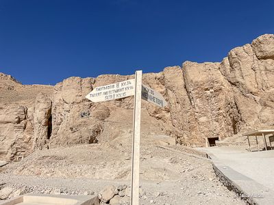 IMG_9516.jpg