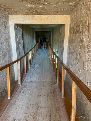 IMG_9524.jpg