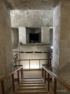 IMG_9533.jpg