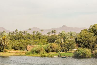 Sur le Nil, au sud de Louxor