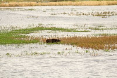 _MG_7123.jpg
