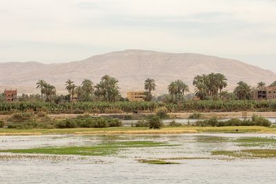 _MG_7125.jpg