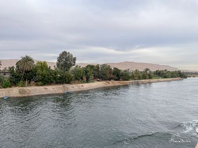IMG_9698.jpg