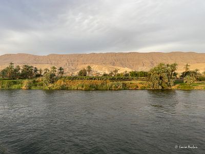 IMG_9703.jpg