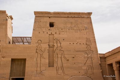 _MG_4117.jpg
