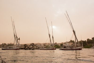 g13/59/1059159/3/175561999.2cc17745.JPEG