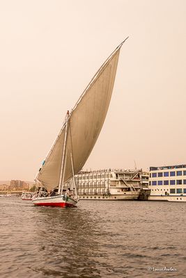 _MG_4181.jpg