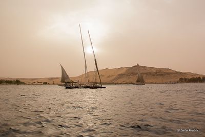 _MG_4186.jpg