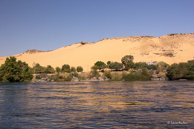_MG_4339.jpg