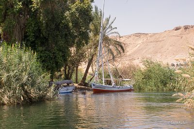 _MG_4399.jpg