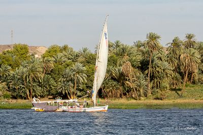 _MG_7397.jpg