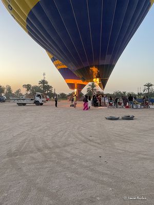 IMG_0395.jpg