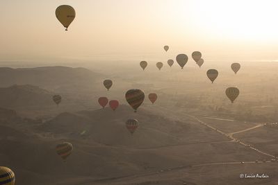 _MG_4570.jpg