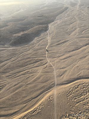 IMG_6180.jpg