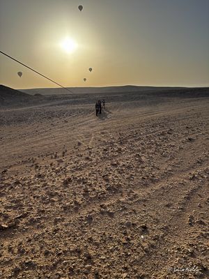 IMG_6189.jpg