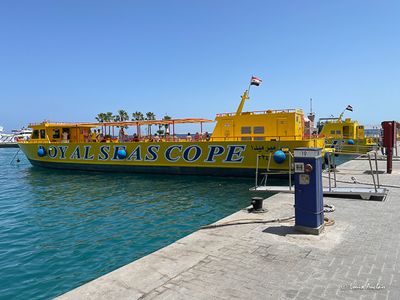 IMG_0608.jpg