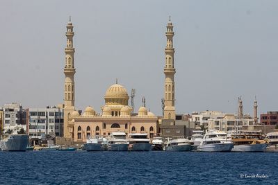 _MG_7878.jpg