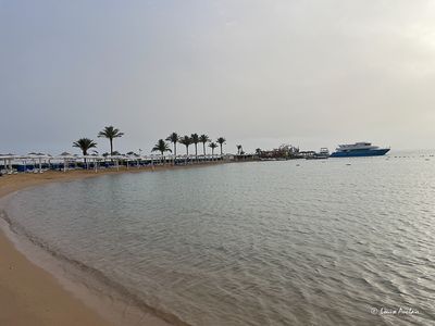 IMG_0765.jpg