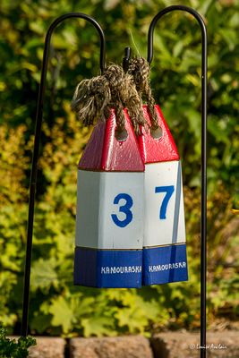 _MG_2721.jpg
