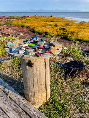 IMG_5420.jpg