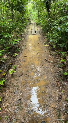 Les sentiers seront boueux et glissants