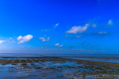 072A3217-2.JPG