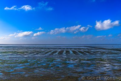 072A3241-2.JPG