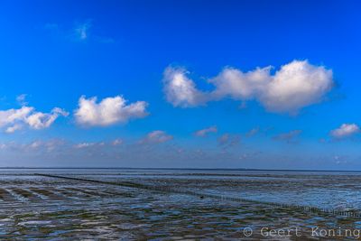 072A3242-2.JPG