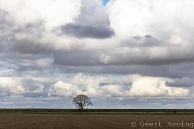 Groningen