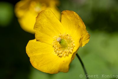 072A4512-2.JPG