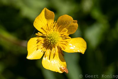 072A4524-2.JPG