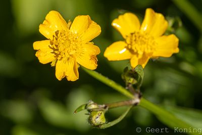 072A4527-2.JPG