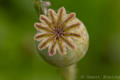 072A5193-2.JPG