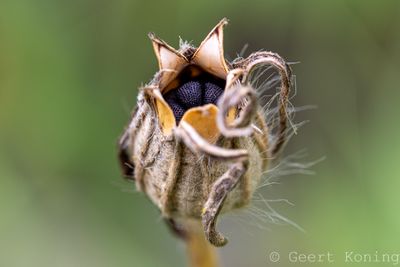 072A5526-2.JPG