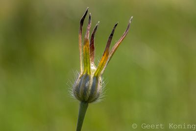 072A5258-2.JPG