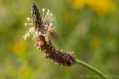 072A5401-2.JPG