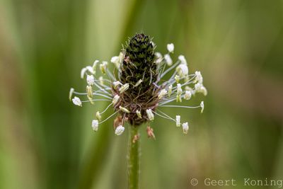 072A5470-2.JPG